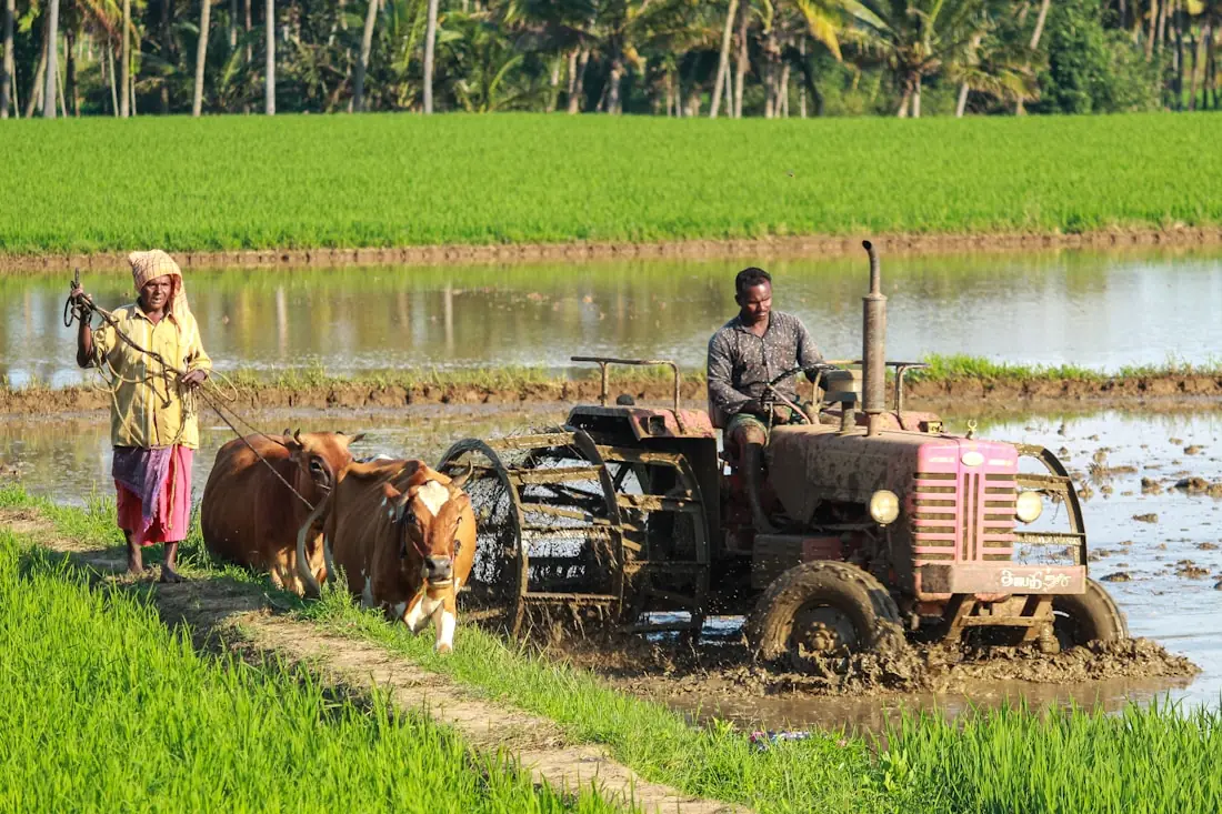 Agriculture, forestry and fishing - businesses that register with NIC code 01124