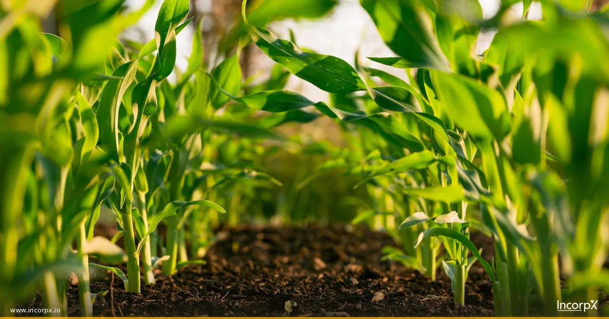 Producer Company vs Private Limited: Which Is Best for Agriculture?