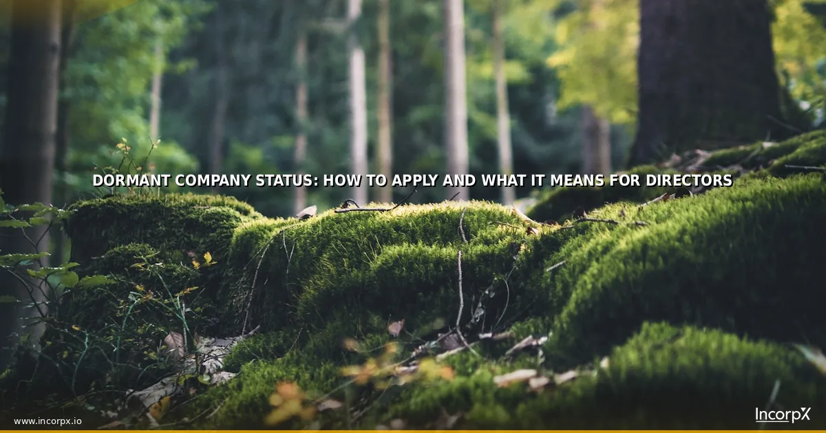 Dormant Company Status: How to Apply and What It Means for Directors