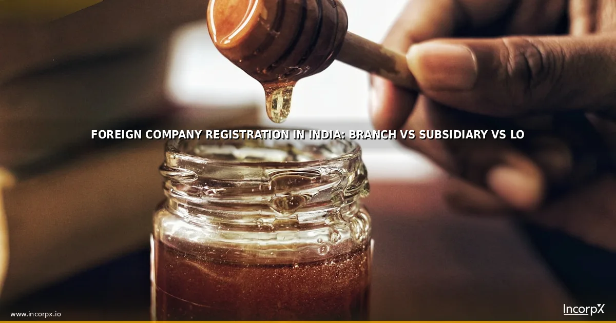 Foreign Company Registration in India: Branch vs Subsidiary vs LO