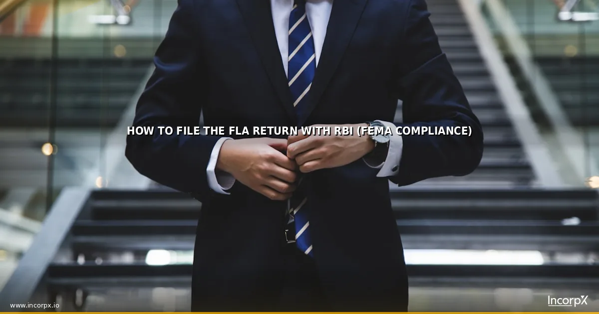 How to File the FLA Return with RBI (FEMA Compliance)