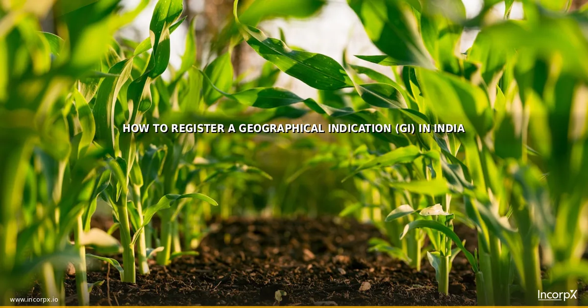 How to Register a Geographical Indication (GI) in India