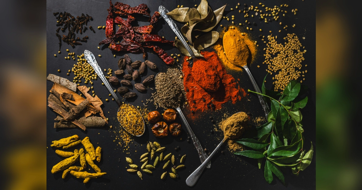 How to Register a Spices Export Business in India 2026: Complete Guide by Experts