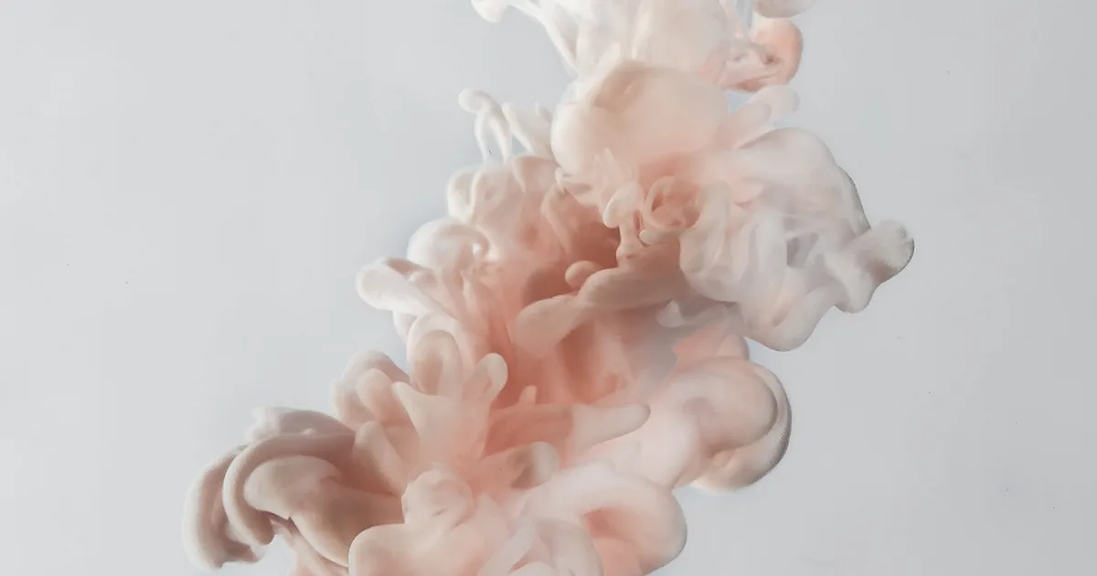 How to File BEN-2 for Beneficial Ownership on the MCA Portal