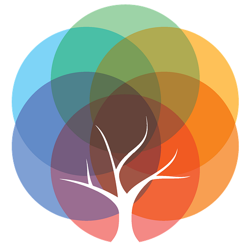 ACIC-BMU Foundation logo