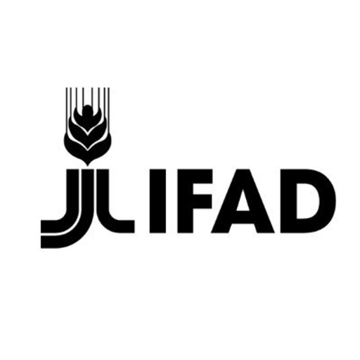 IFAD logo